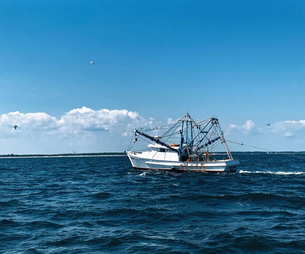 boat